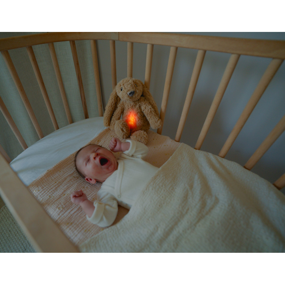 ZAZU RO - Musical Soft Toy Bunny, Beige