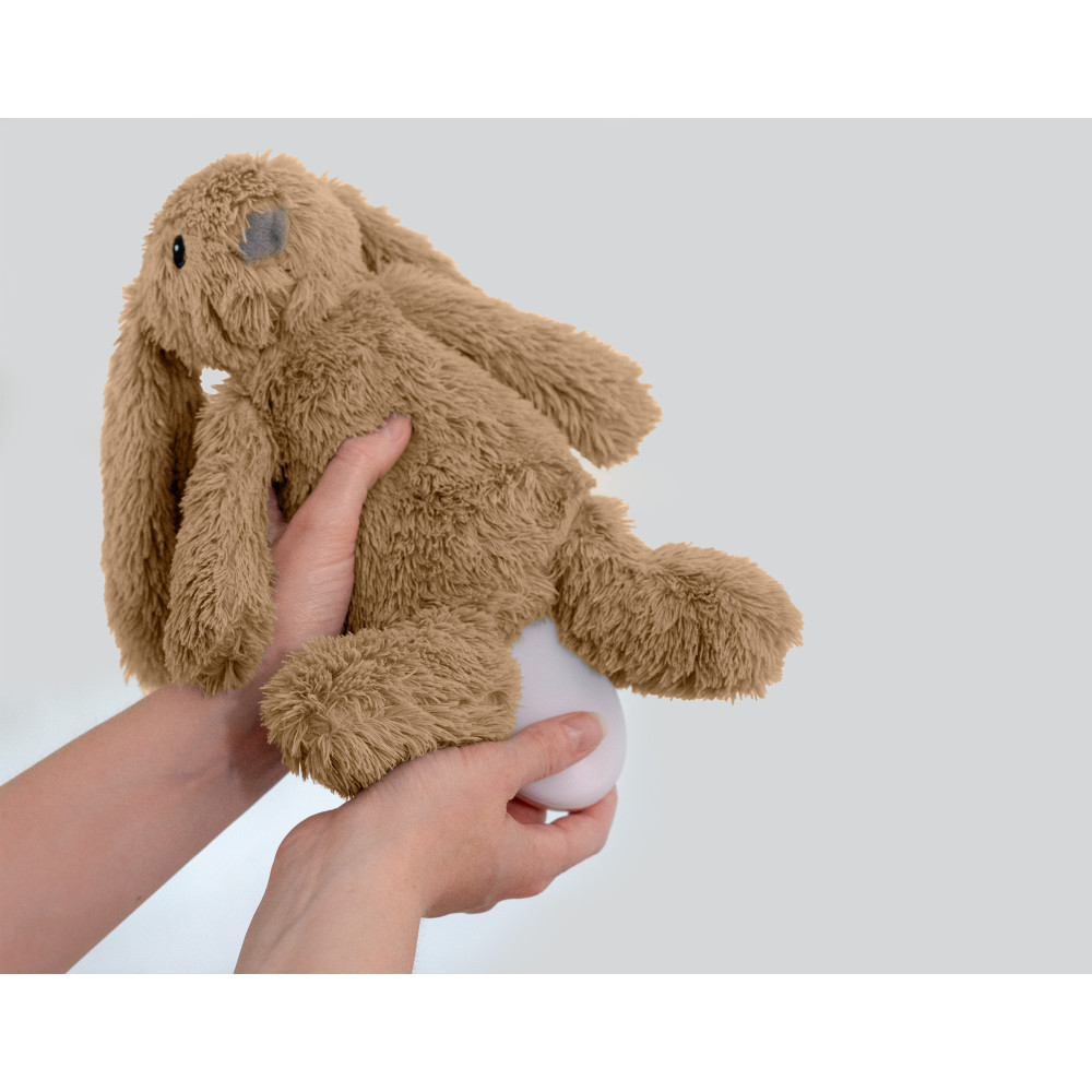 ZAZU RO - Musical Soft Toy Bunny, Beige