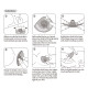 Haakaa Silicone Nipple Shields 2-Pack