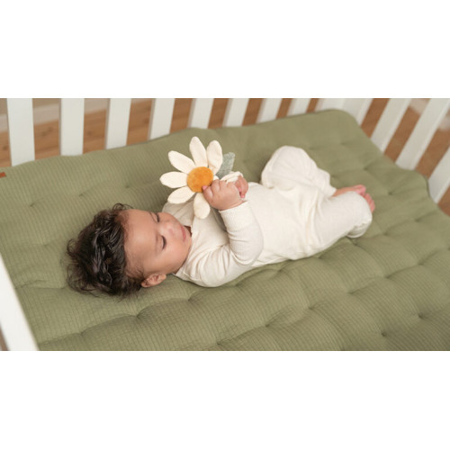 Little Dutch rattle flower ´Little Farm´
