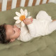 Little Dutch rattle flower ´Little Farm´