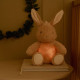 Little Dutch Cuddle Bunny Light & Sound ´Newborn Naturals´ GRS