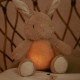 Little Dutch Cuddle Bunny Light & Sound ´Newborn Naturals´ GRS