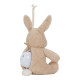 Little Dutch Cuddle Bunny Light & Sound ´Newborn Naturals´ GRS