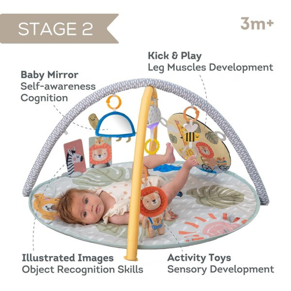 Taf Toys Savannah 360 activity gym
