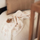 Swaddle Muslin 115x115cm Twig - 2 Pack
