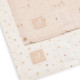 Swaddle Muslin 115x115cm Pretty Picnic - 2 Pack