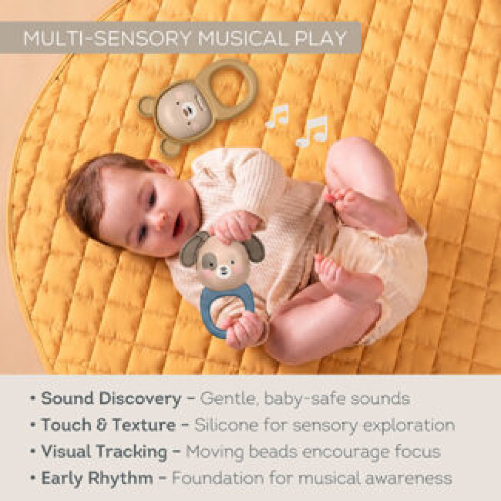 Taf Toys muzikālā rotaļlieta Sound Discovery zvaniņš un klabeklis