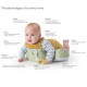 Taf Toys Savannah tummy-time pillow